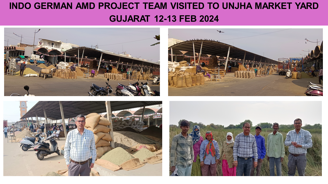 The Indo German AMD Project Team Visited Unjha Market Yard In Gujarat 